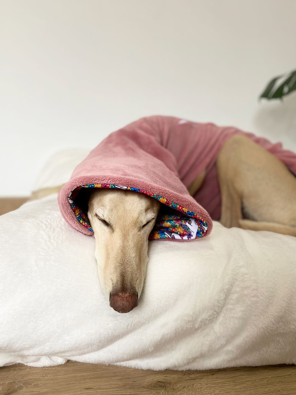 Pijama margaritas