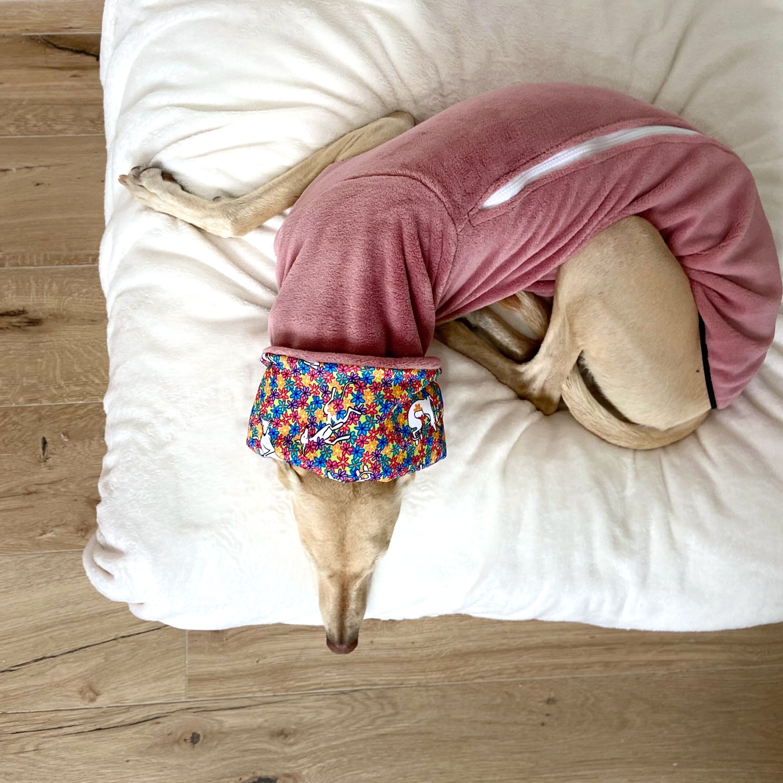 Pijama margaritas