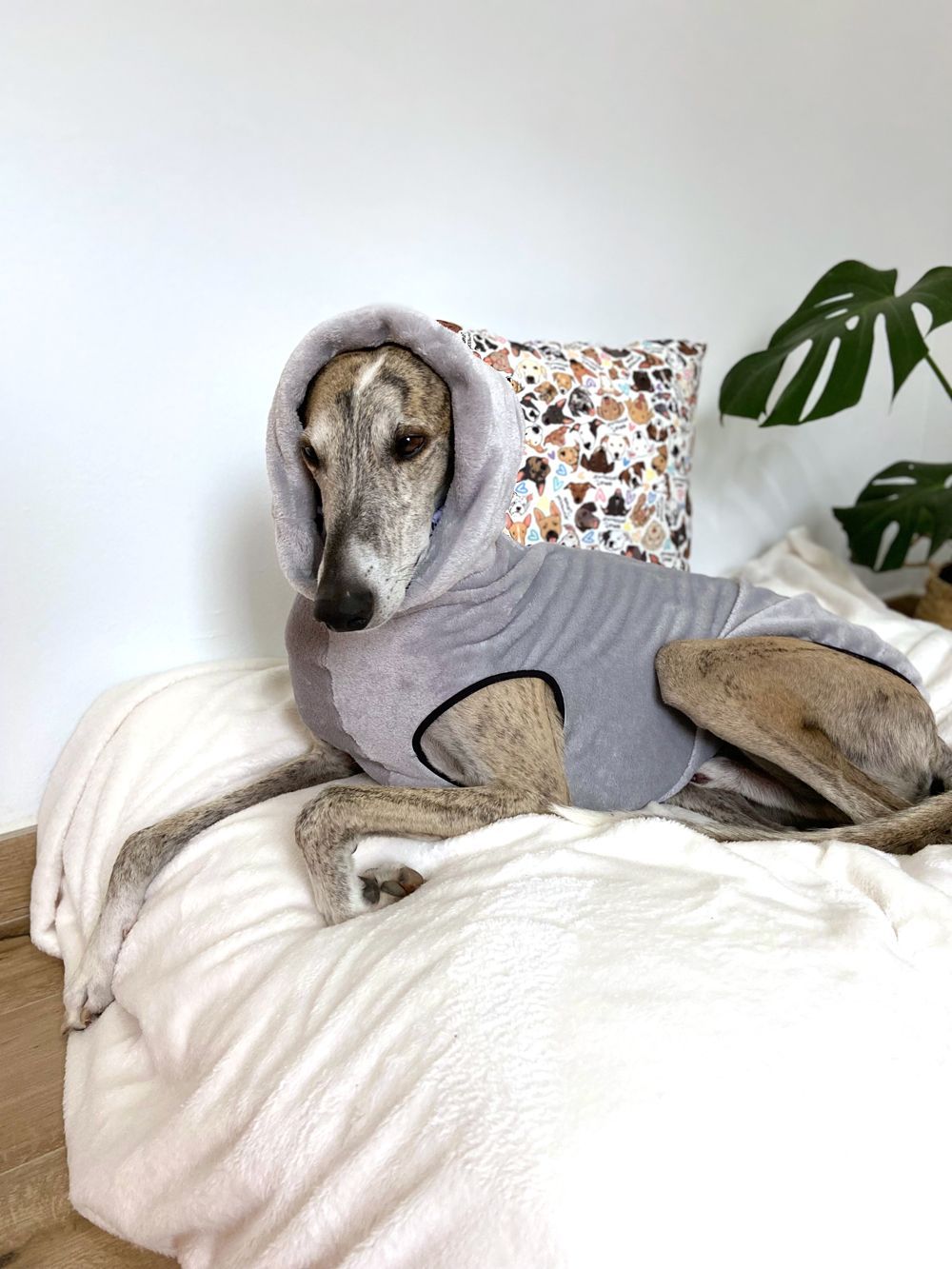 Pijama amor perruno