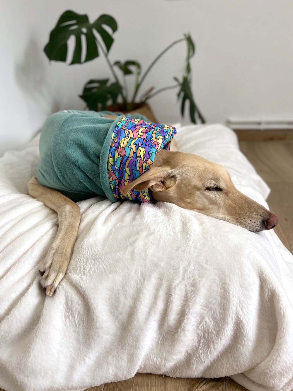 Pijama rainbow