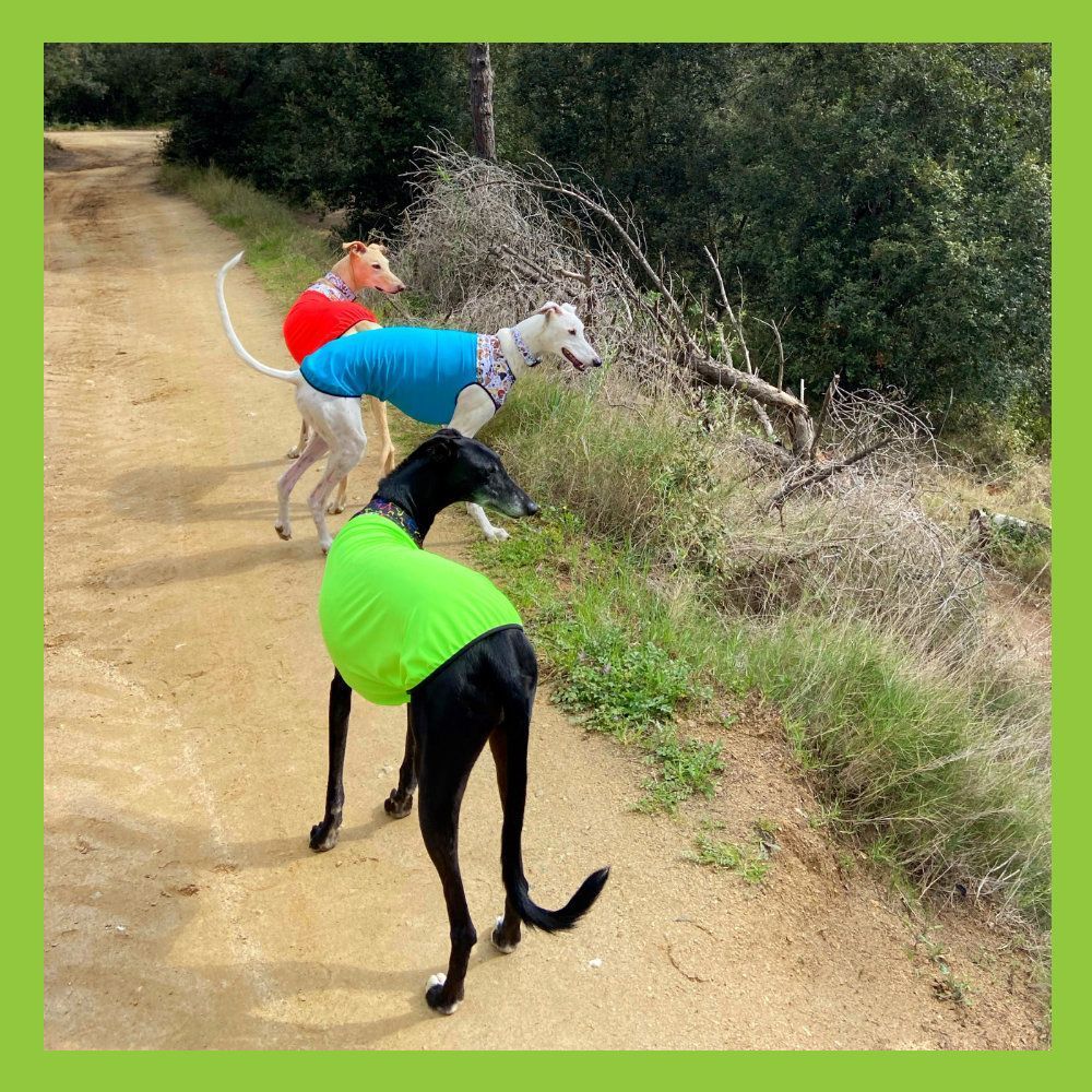 Salopette a matita verde