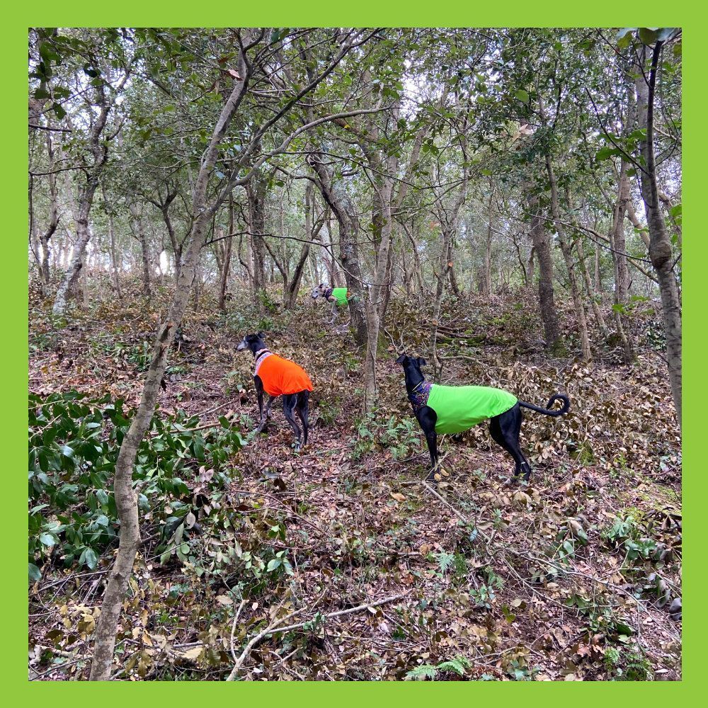 Salopette verde a matita