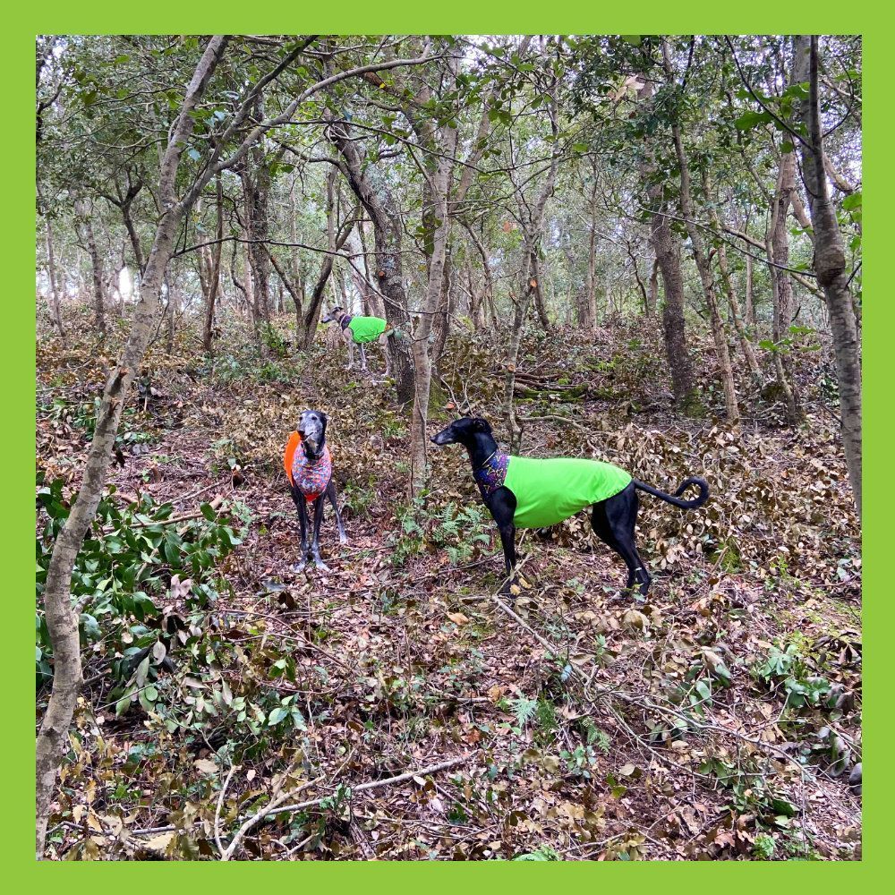 Salopette a matita verde