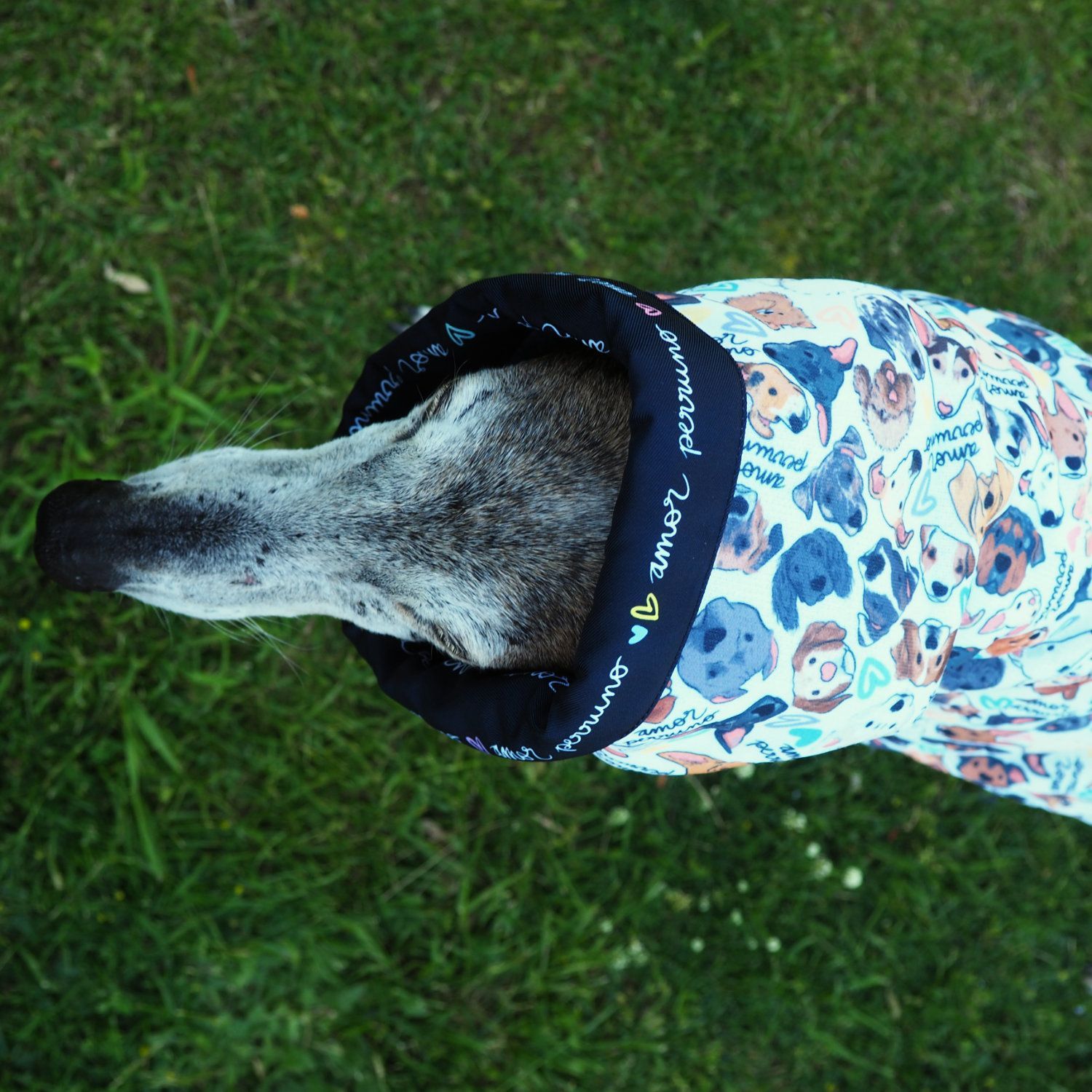 Jersey amor perruno