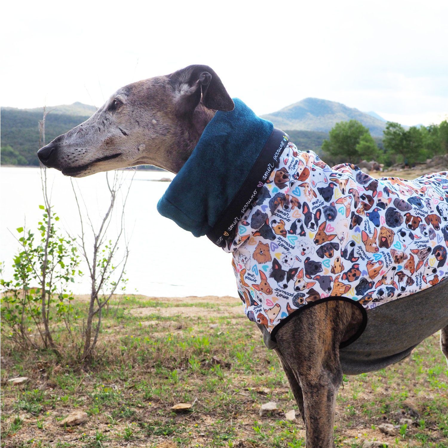 Jersey amor perruno
