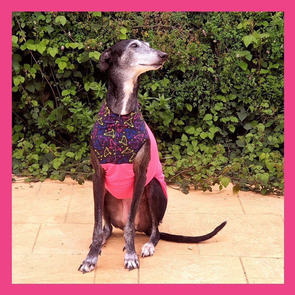 Peto caralápiz rosa
