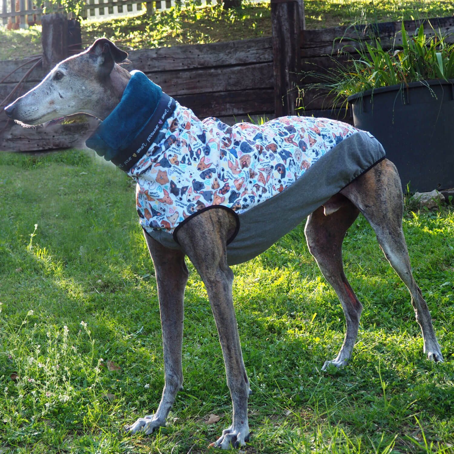 Sudadera amor perruno