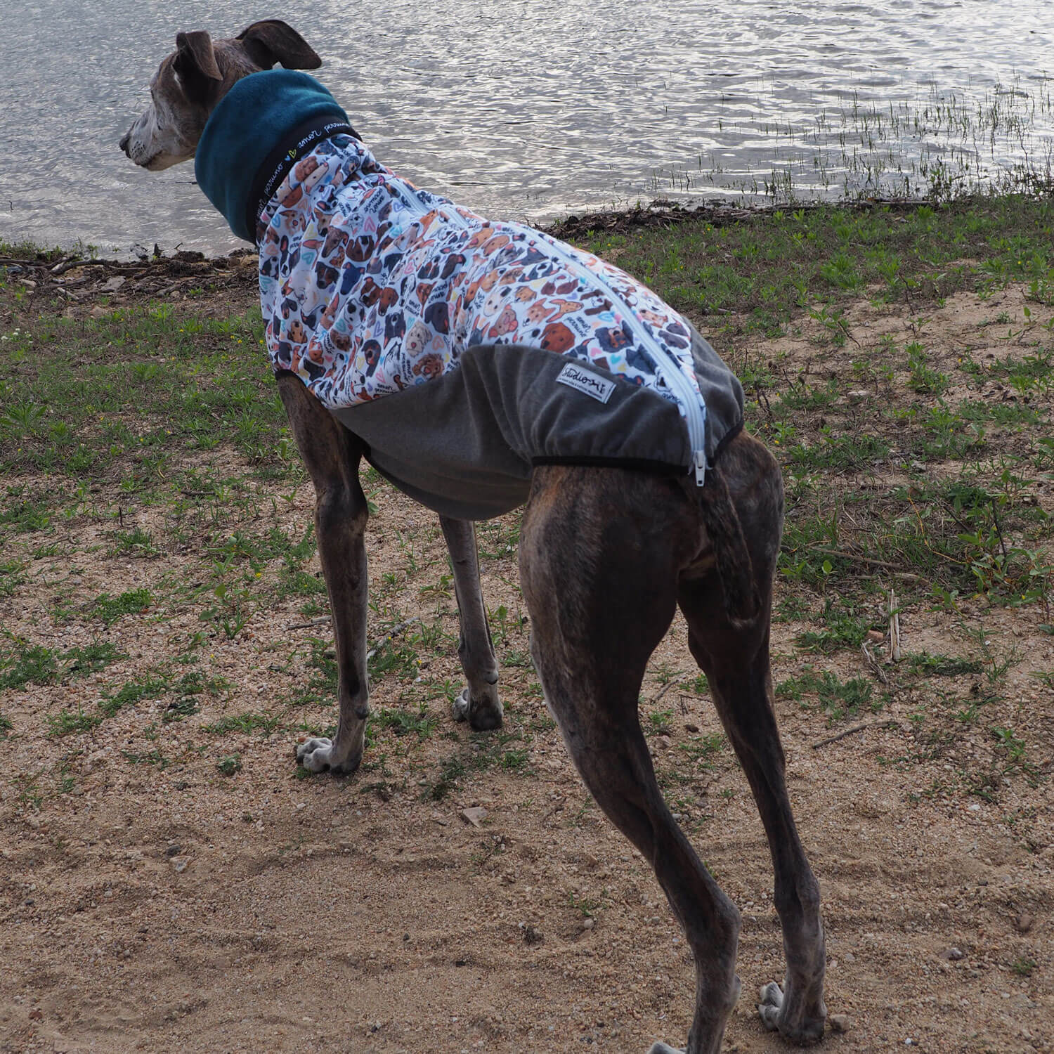 Sudadera amor perruno