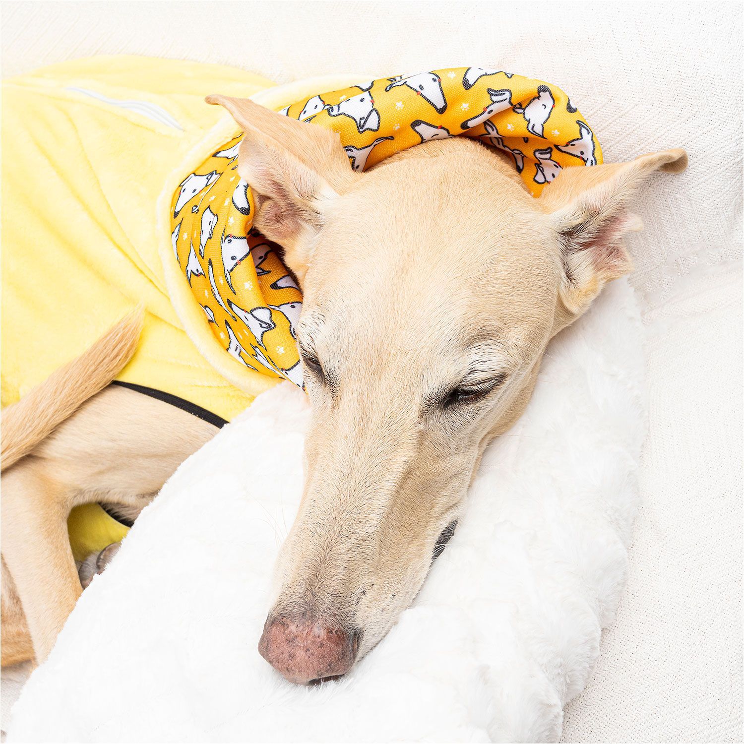 Pijama caralápiz amarillo