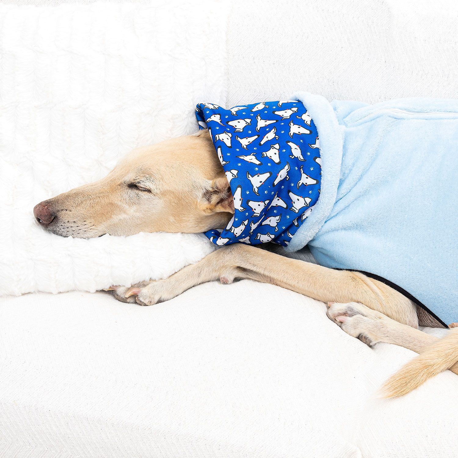 Pijama caralápiz azul