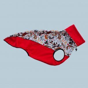 Impermeable invierno galguitis aguda