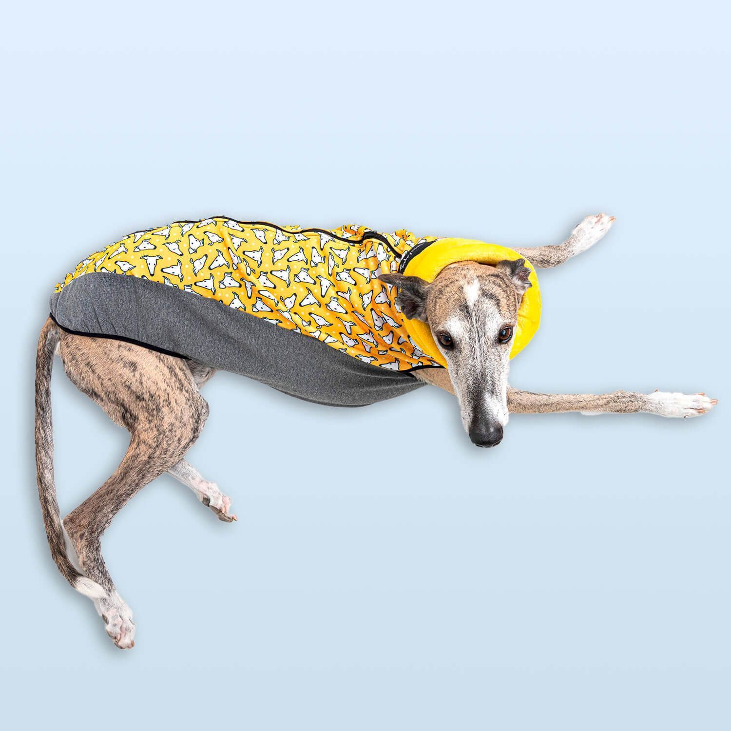 Jersey caralápiz amarillo