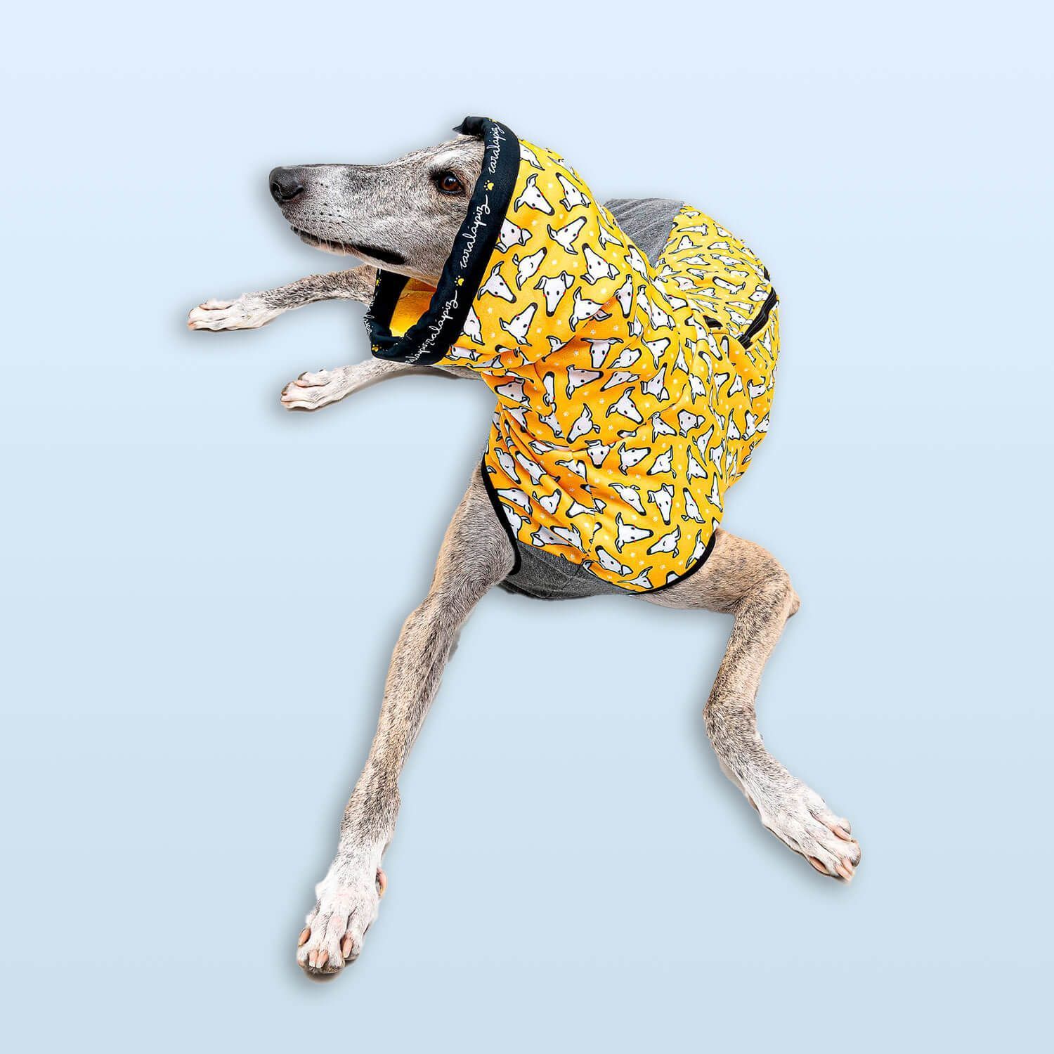Jersey caralápiz amarillo