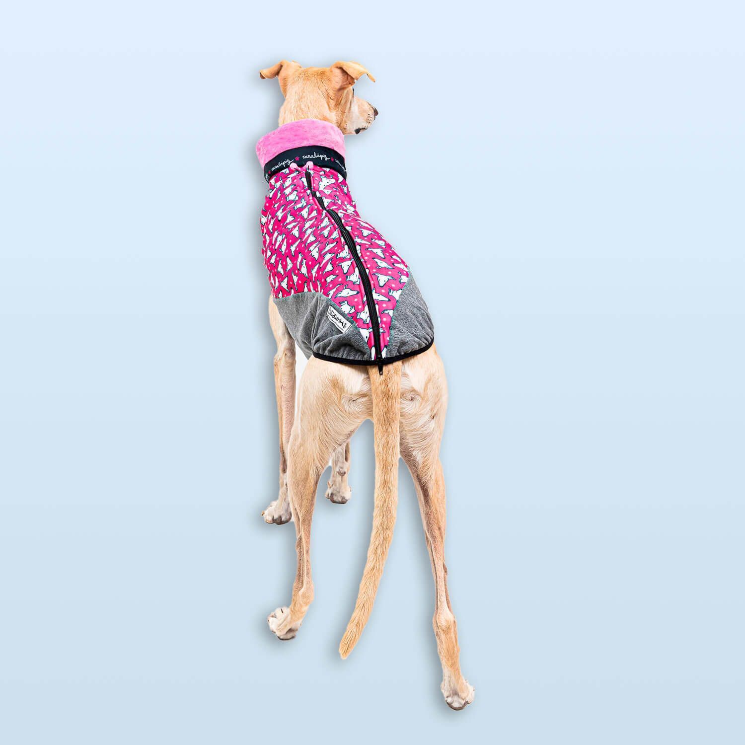 Jersey caralápiz rosa