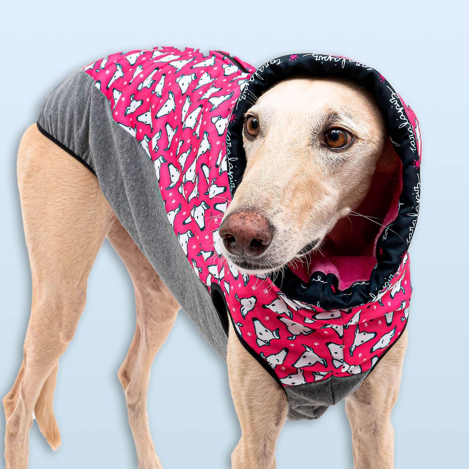 Jersey caralápiz rosa