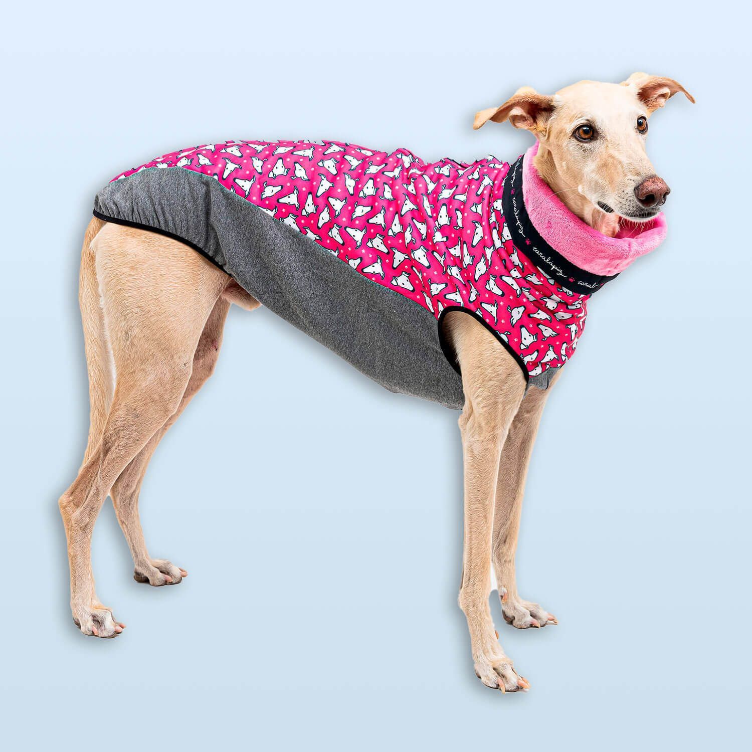 Jersey caralápiz rosa