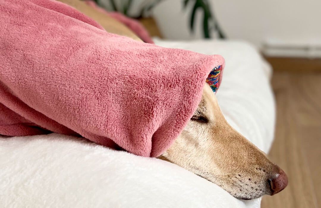 Pijamas