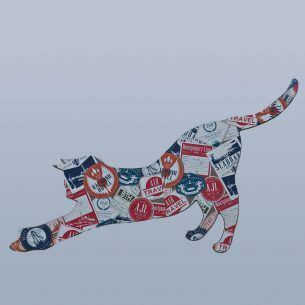 Giocare a sagoma di gatto