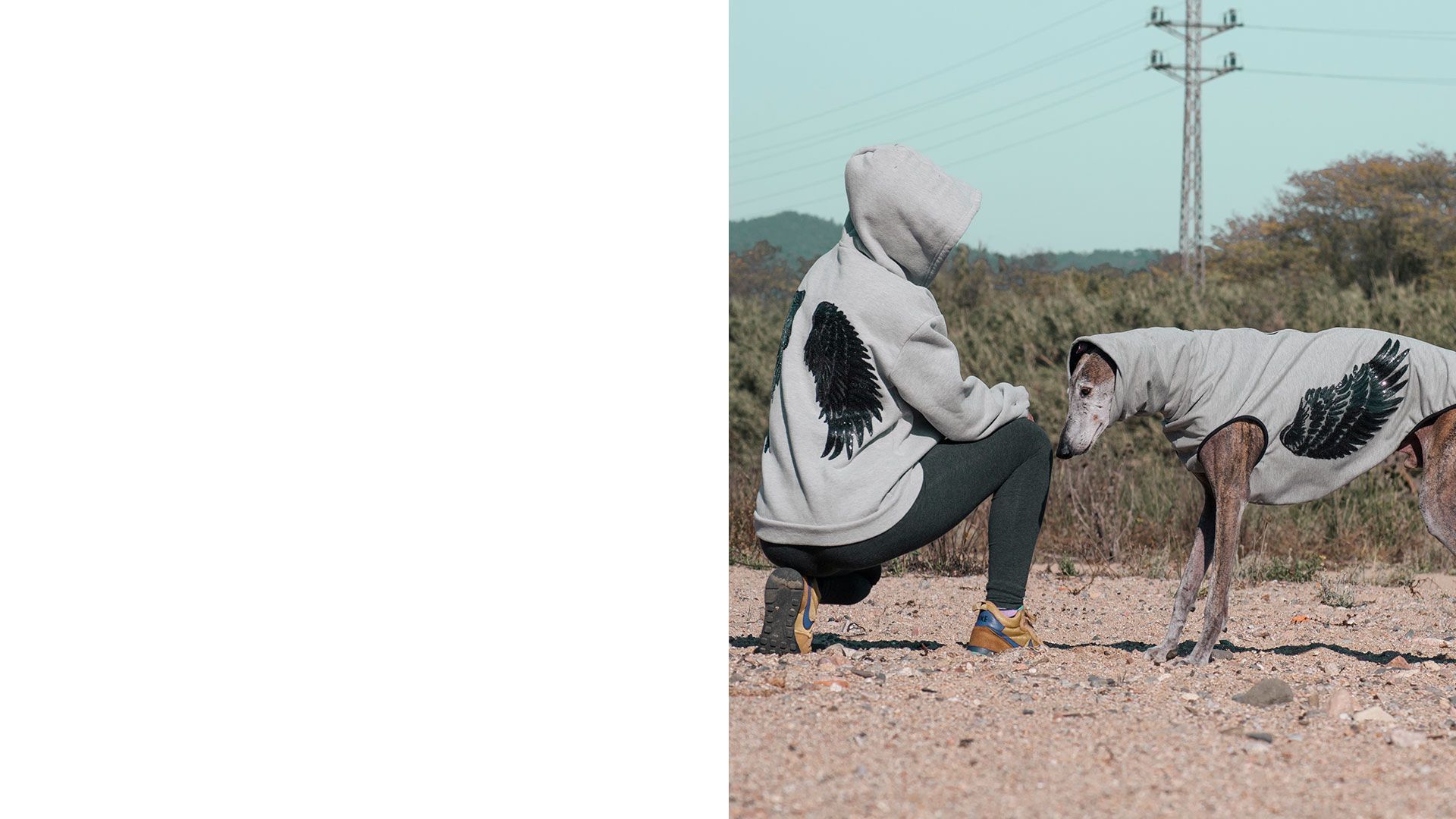 La mode canine