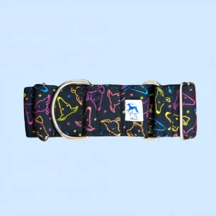 Collar martingale negro Caralápiz para galgos