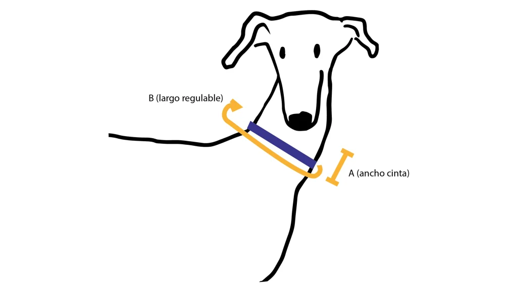 Guía de tallas collares identificativos