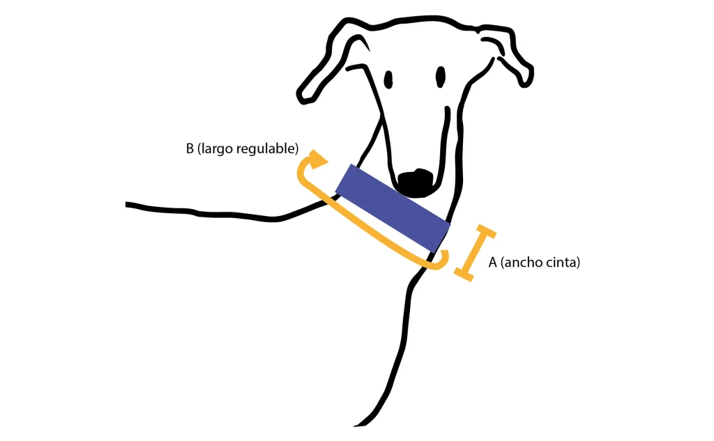 Guía de tallas collar Martingale
