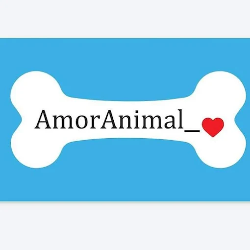 Amor Animal